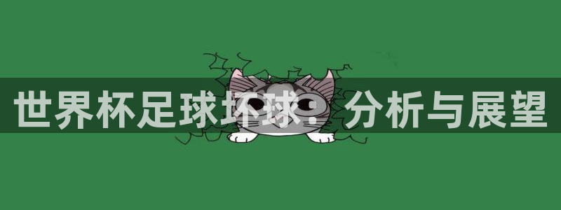 足球世界杯赛程:世界杯足球坏球:分析与展望