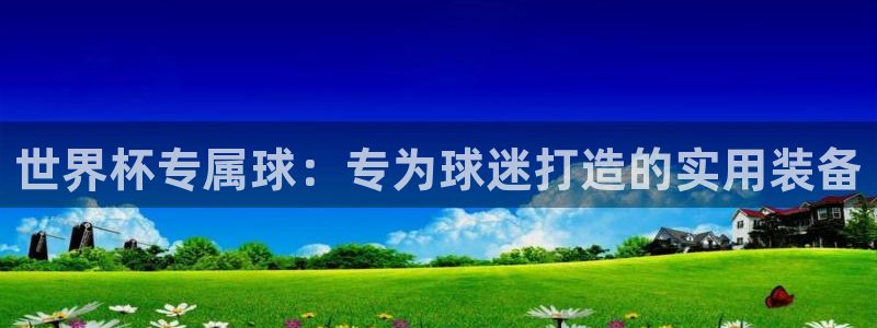 世界杯直播高清:世界杯专属球:专为球迷打造的实用装备