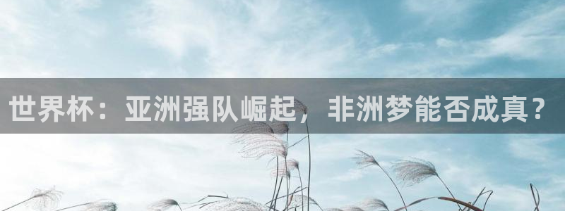 2026男足世界杯:世界杯:亚洲强队崛起,非洲梦能否成真?