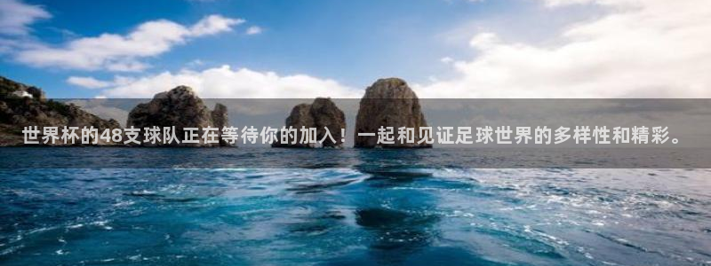 世界杯:世界杯的48支球队正在等待你的加入!一起和见证足球世界的多样性和精彩。