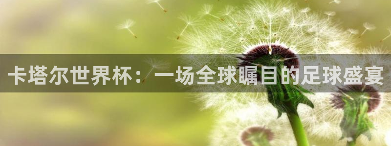 世界杯欧洲区世预赛赛程:卡塔尔世界杯:一场全球瞩目的足球盛宴