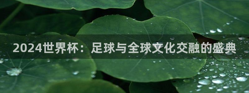 2026足球世界杯赛程:2024世界杯:足球与全球文化交融的盛典