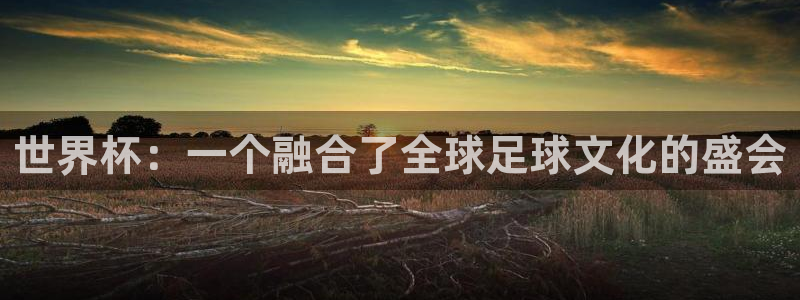 世界杯附加赛赛程表:世界杯:一个融合了全球足球文化的盛会