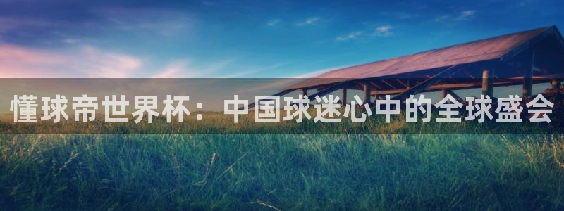 2026世界杯亚洲区预选赛:懂球帝世界杯:中国球迷心中的全球盛会