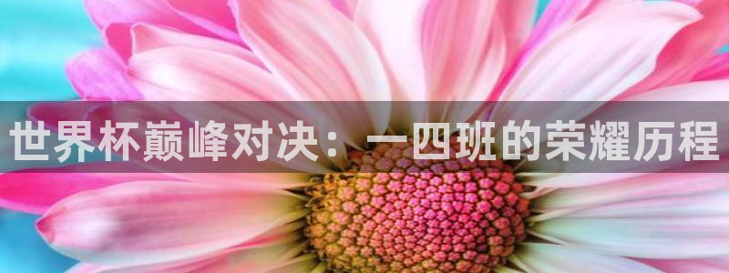 世界杯 赛程:世界杯巅峰对决:一四班的荣耀历程
